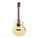 ELEKTRO KLASİK GİTAR, FISHMAN MANYETİK, OPEN PORE