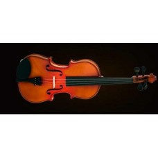 VİOLA KUTULU 15.5